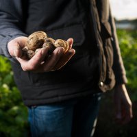 Агропромышленный холдинг в Ульяновской области будет расти