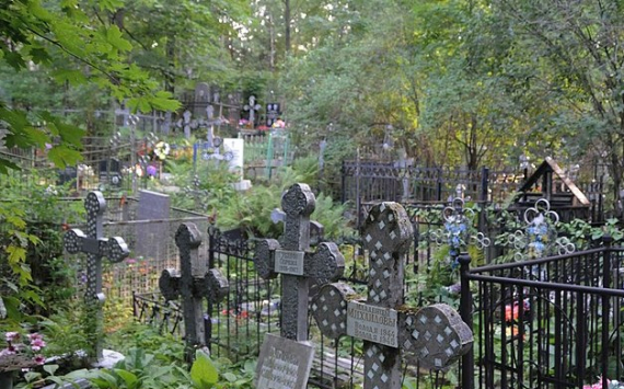 Власти Ульяновской области передали Вавилину часть Ишеевского кладбища