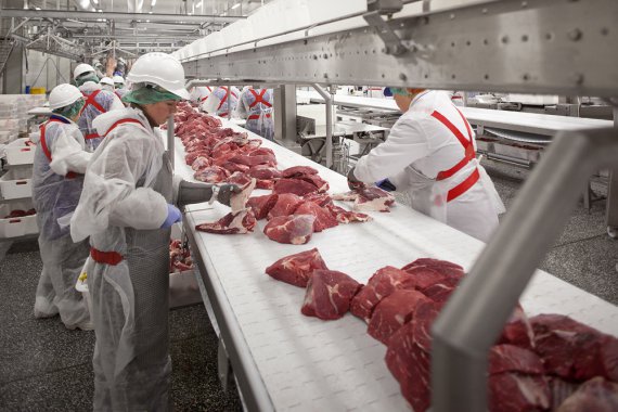 «Мираторг» инвестирует свыше 4,9 млрд рублей в линию по переработке прочей мясной продукции комплекса по убою КРС