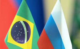 Россельхознадзор принял участие в вебинаре Российско-Бразильского делового совета