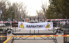 В посёлках Языково и Карсун введён карантин в связи с коронавирусной инфекцией