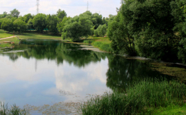 Процесс постановки на учёт пруда по улице Шолмова в Ульяновске планируется ускорить