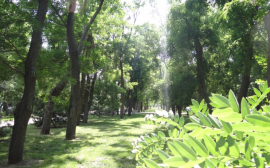 В Ульяновске во "Владимирском саду" создадут ретро-парк