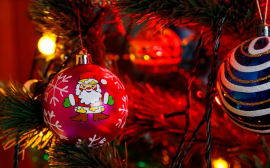Беспалова призвала снизить расходы на новогодние праздники в Ульяновской области