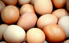 В Ульяновской области производство яиц упало на 12,6%