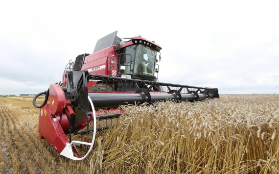 В Ульяновской области модернизируются агропромышленные мощности