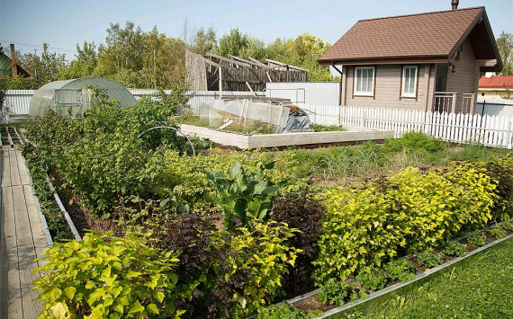 В Ульяновской области зарегистрированы 160 тыс. дач и садоводческих участков