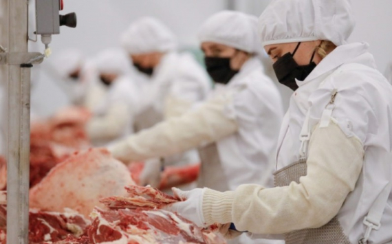 В Ульяновской области будет запущен новый мясокомбинат по программе социального питания