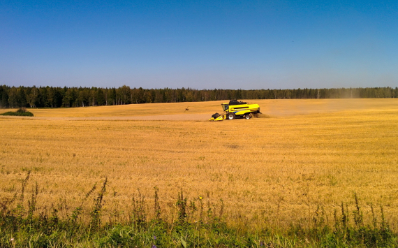 Ульяновская область стала одной из лучших в стране по доведению финансовой помощи аграриям