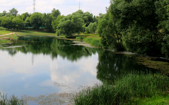 Процесс постановки на учёт пруда по улице Шолмова в Ульяновске планируется ускорить