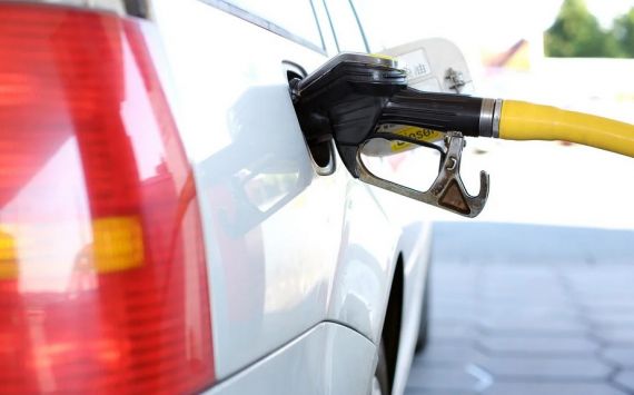 Бизнес попросил ФАС принять меры для стабилизации цен на топливо в РФ
