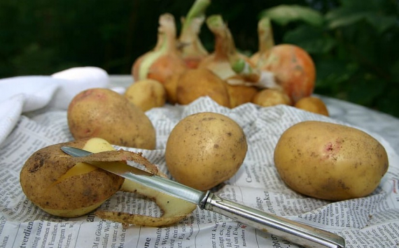 В Ульяновской области оказались самые низкие цены на картофель и лук в ПФО