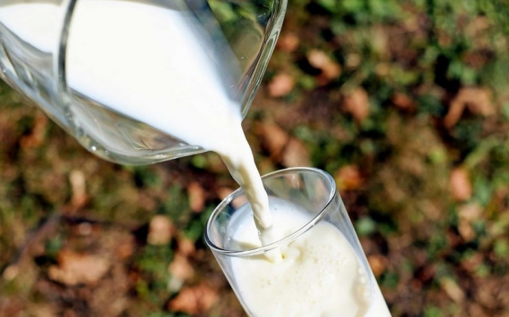 В Ульяновской области открыли завод по переработке молока