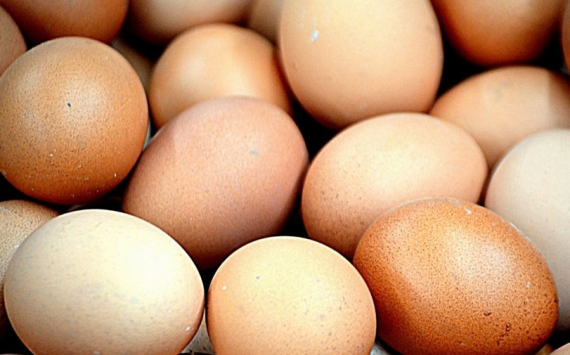 В Ульяновской области производство куриных яиц выросло на 11,5%
