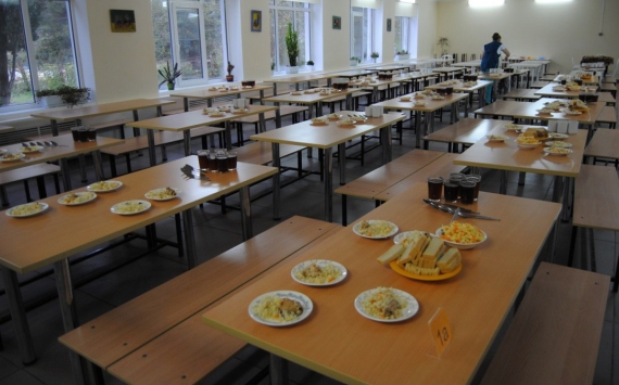 Организацию питания в школах Ульяновска предложили доверять оператору на 15 лет